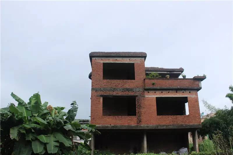 淇澳岛亲子游,一天时间玩转珠海淇澳岛