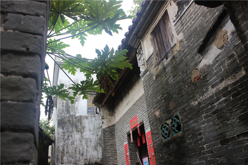 淇澳岛亲子游,一天时间玩转珠海淇澳岛