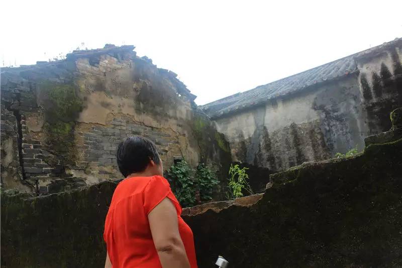 淇澳岛亲子游,一天时间玩转珠海淇澳岛