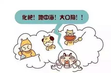 国家雅称有哪些,国家的别称和雅称