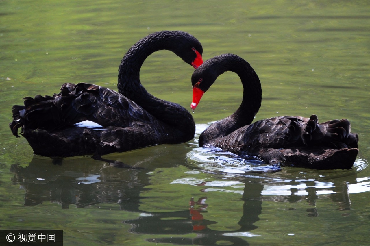 上海人家的位置,上海周边免费的避暑之地