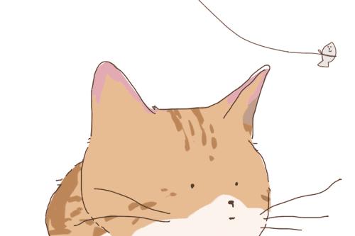 英语口语很棒怎么表达,英语口语高逼格表达