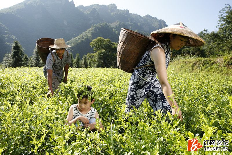 传说中的世外桃源：走进千年土家长寿村