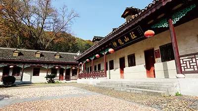 循香识味赏景尝鲜｜带你体验“活色生鲜”的江*风汉**情