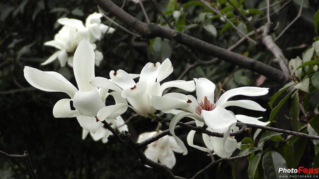 松下hc-vx980m使用说明,松下vx9804k测评