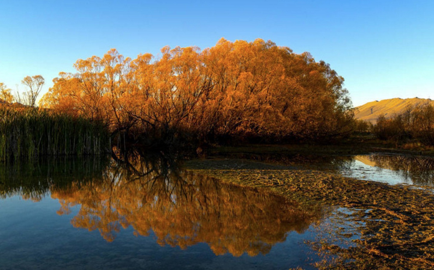 新西兰南岛的冬天,新西兰南岛秋天最佳时间