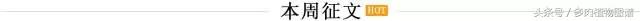 离家一个月20天,离家一个月养猪