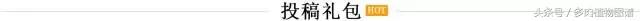 离家一个月20天,离家一个月养猪