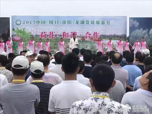 中国淮阳荷花节游龙湖赏荷花,欢迎大家来淮阳龙湖赏荷花