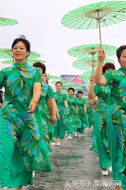 中国淮阳荷花节游龙湖赏荷花,欢迎大家来淮阳龙湖赏荷花