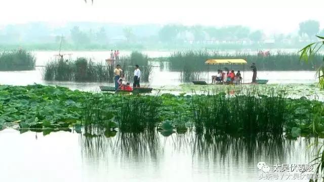 2022淮阳龙湖赏荷旅游月开幕式,中国淮阳龙湖赏荷旅游月活动启动