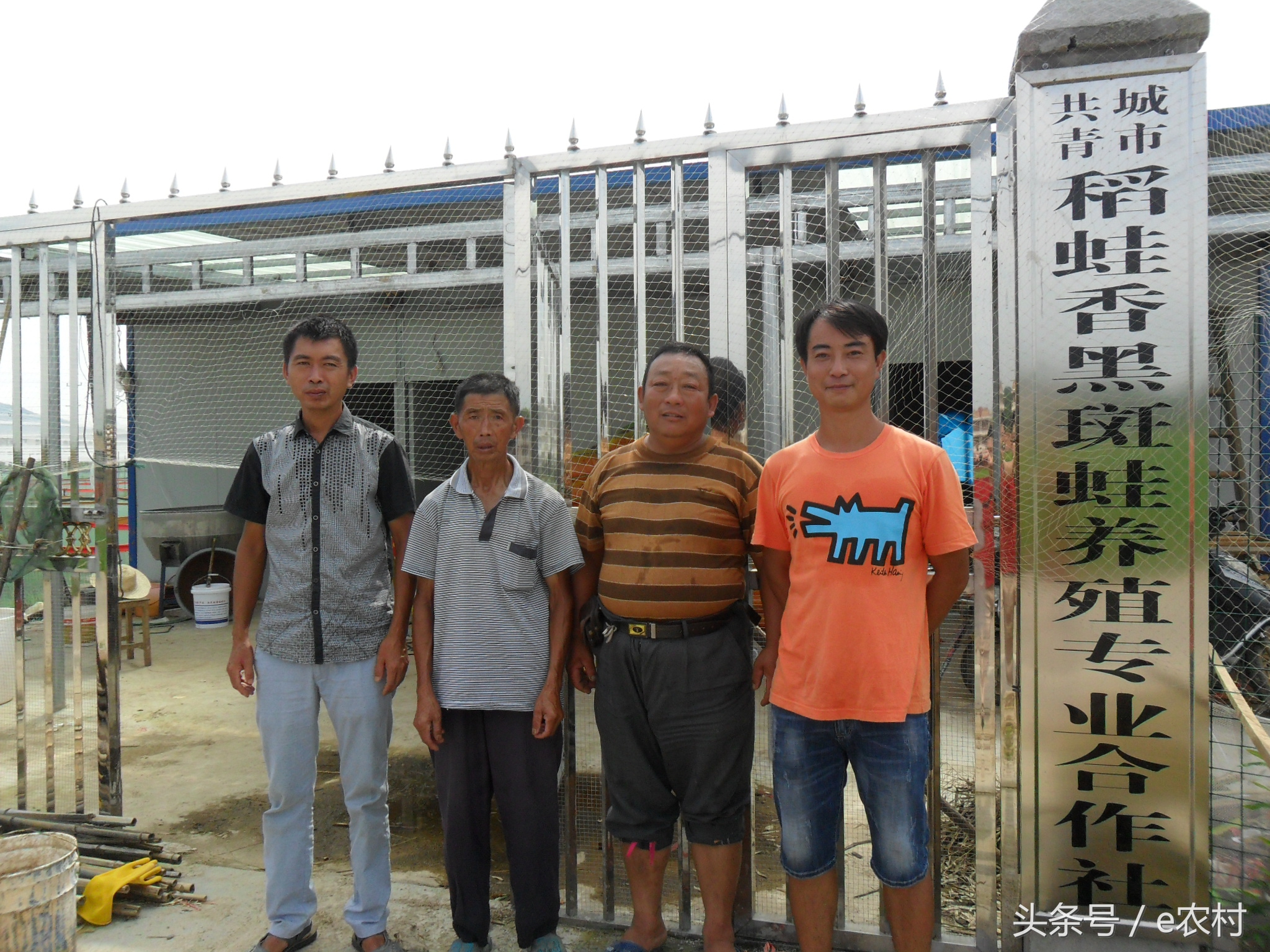 致富经养石蛙近期视频,cctv7致富经酿酒