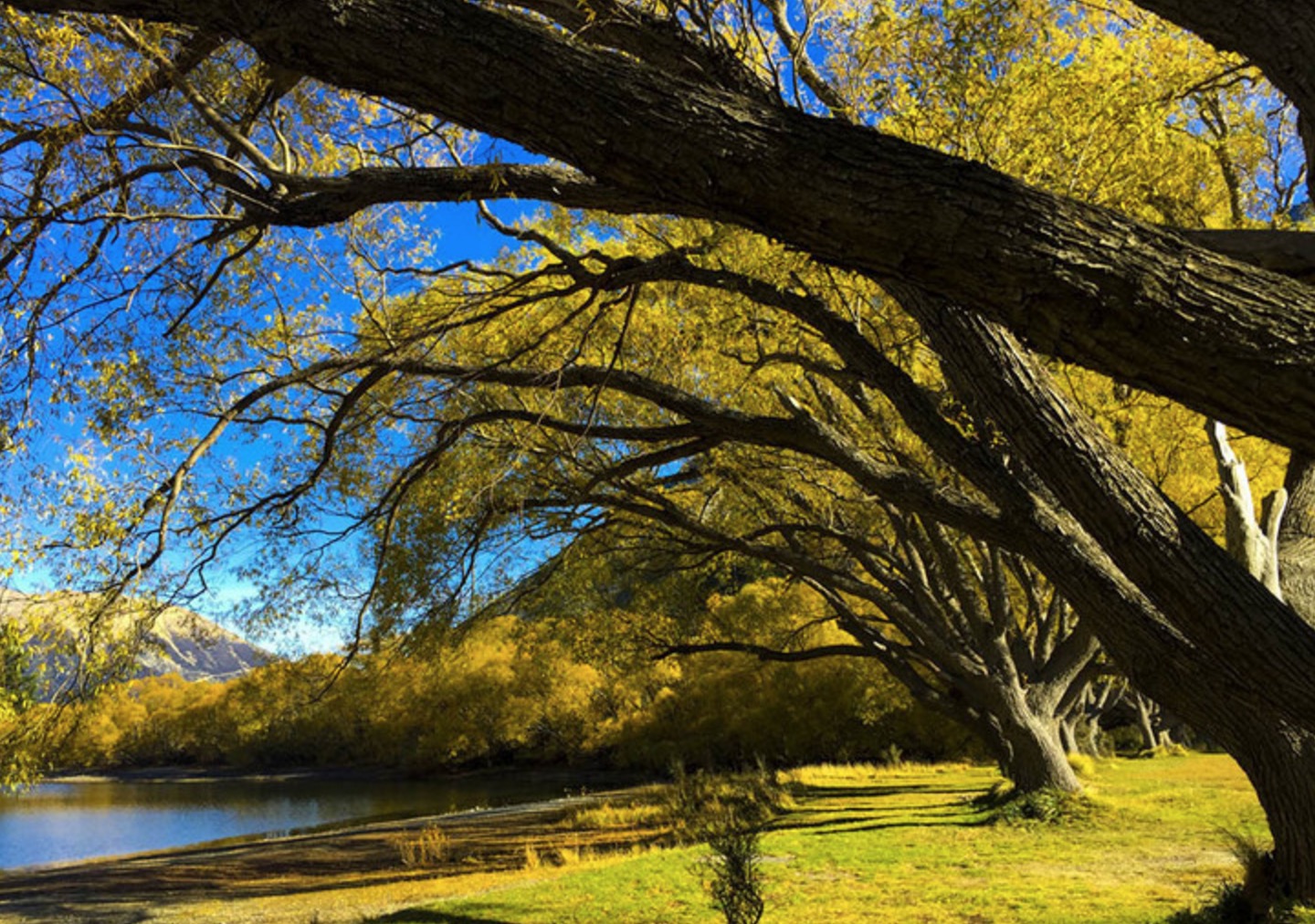新西兰南岛的冬天,新西兰南岛秋天最佳时间