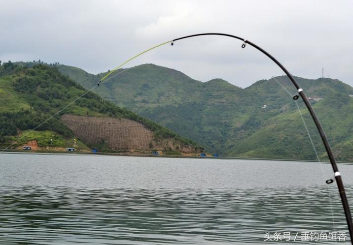 海竿钓底最简单的线组,海竿钓大鱼的线组配置图片