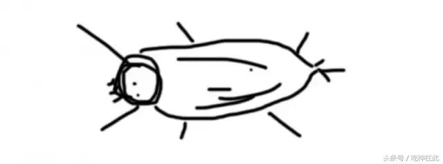 彻底消灭蟑螂之冬天灭蟑螂的方法,灭蟑螂最靠谱的2招教你消灭它