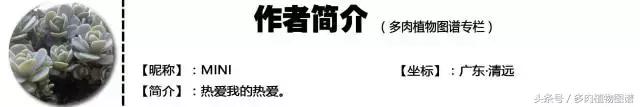 离家一个月20天,离家一个月养猪
