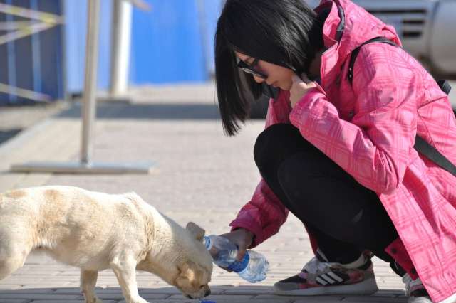 客片故事：没想到真心话大冒险游戏的惩罚，竟然这么快成了真！