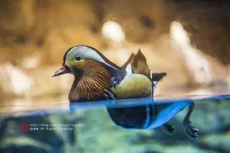 珠海长隆海洋王国游玩攻略一日游,珠海长隆海洋世界游玩攻略