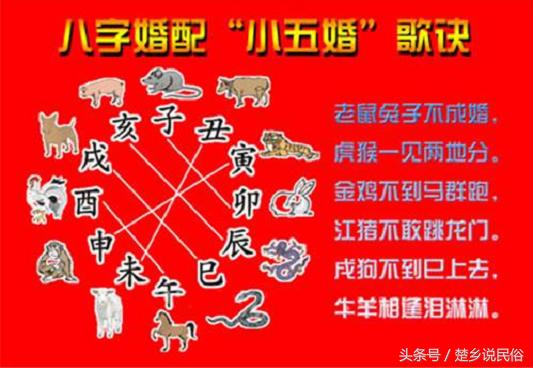 2024年各个生肖有哪些禁忌,与十二生肖相忌的生肖