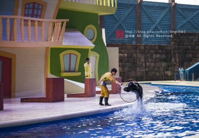 珠海长隆海洋王国游玩攻略一日游,珠海长隆海洋世界游玩攻略