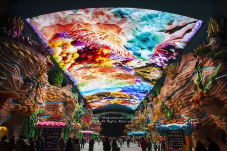 珠海长隆海洋王国游玩攻略一日游,珠海长隆海洋世界游玩攻略