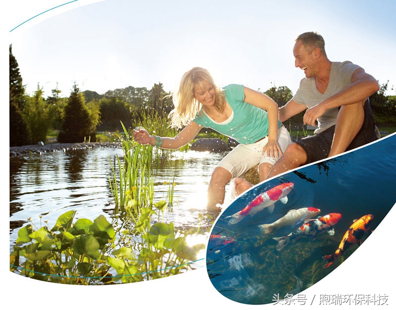 锦鲤鱼池生态循环过滤,锦鲤鱼池过滤系统视频