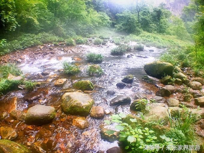张家界凤凰4日游攻略,张家界凤凰五日游线路图片