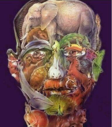 姑娘，我要是追上你就得履行承诺哦，可不要反悔哦