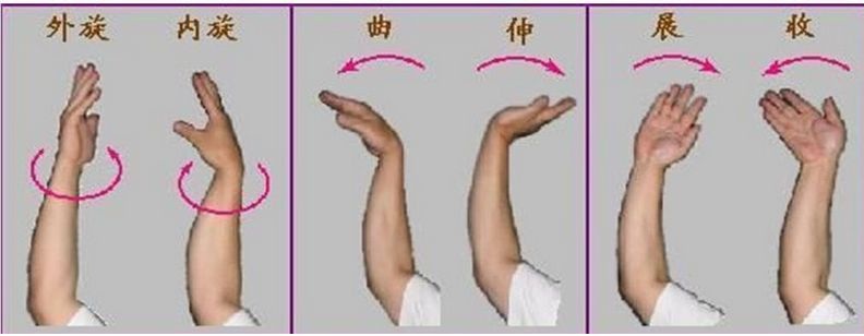 正规羽毛球打法全过程,羽毛球运动教学解析