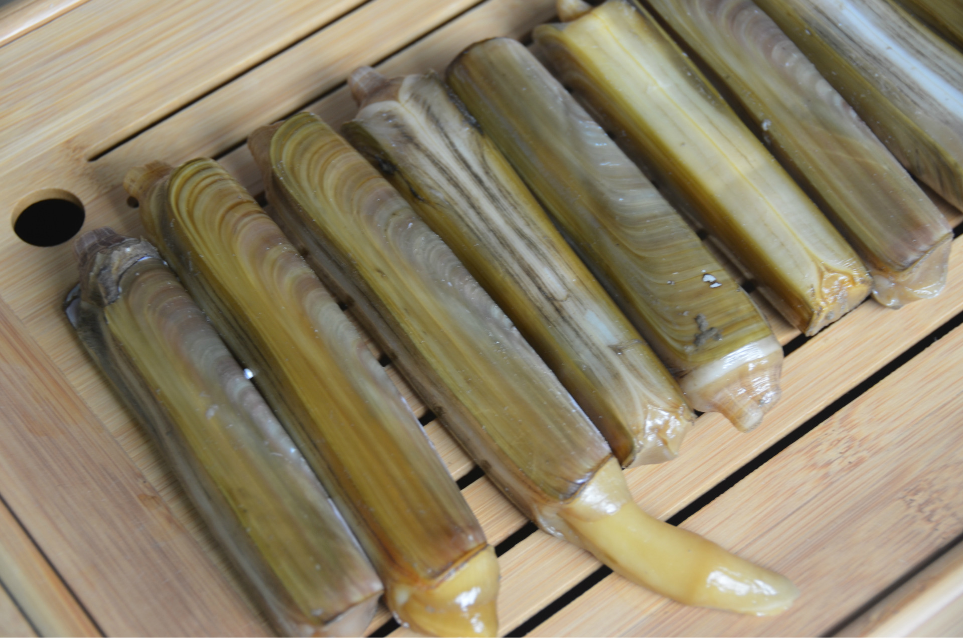 全球公认最好吃的五种贝类,推荐好吃的贝类有哪些