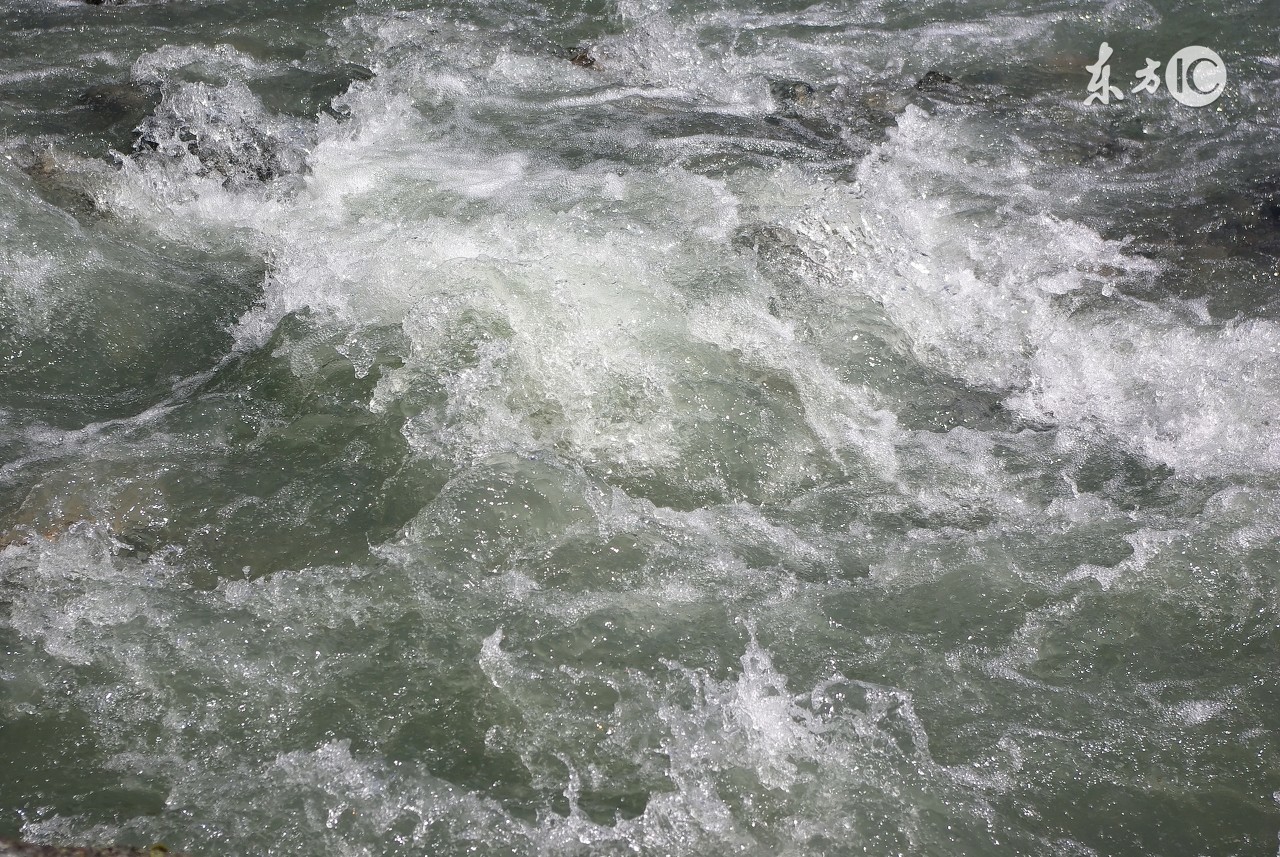 探秘青海湖湟鱼洄游,一年一度青海湖湟鱼洄游