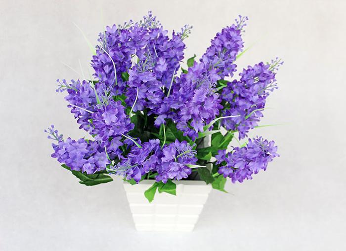 懒人如何使室内盆栽越长越好,办公室养什么小盆栽好养活呢