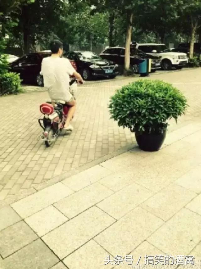 窦唯和朴树同台,朴树窦唯节目完整版