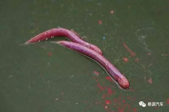 毕业青岛旅游攻略,青岛毕业旅行三日游