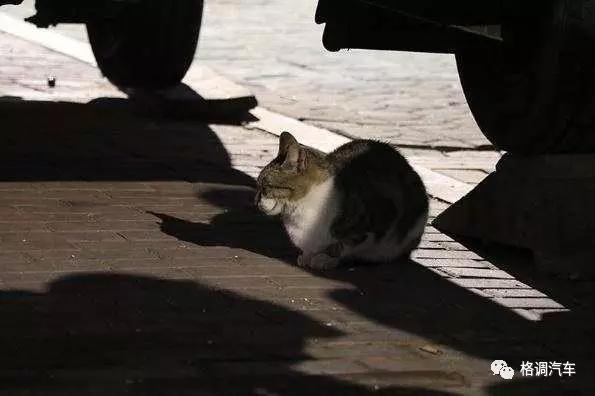 毕业青岛旅游攻略,青岛毕业旅行三日游