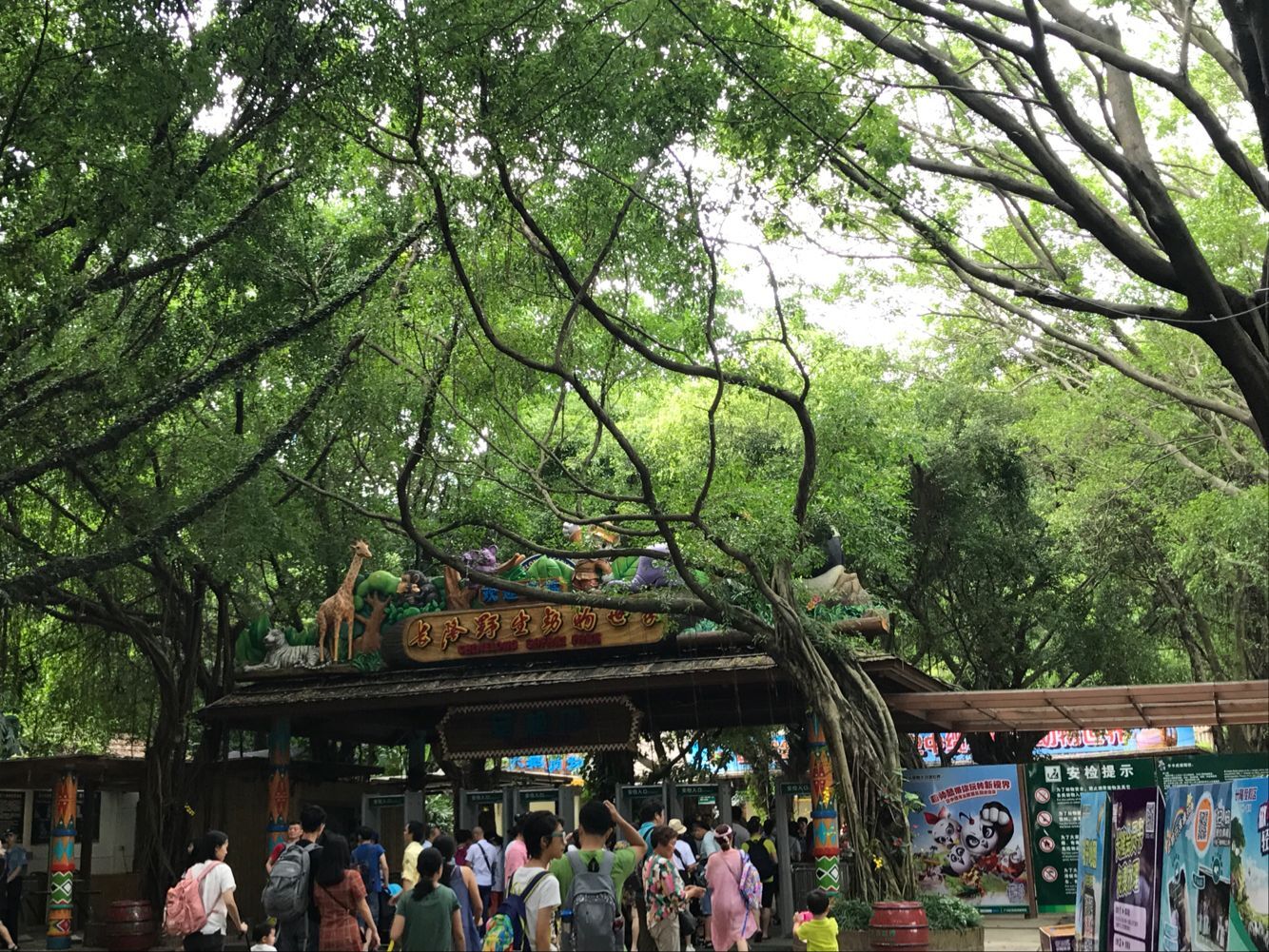 广州长隆飞鸟乐园和野生动物园,广州长隆野生动物园在哪个区