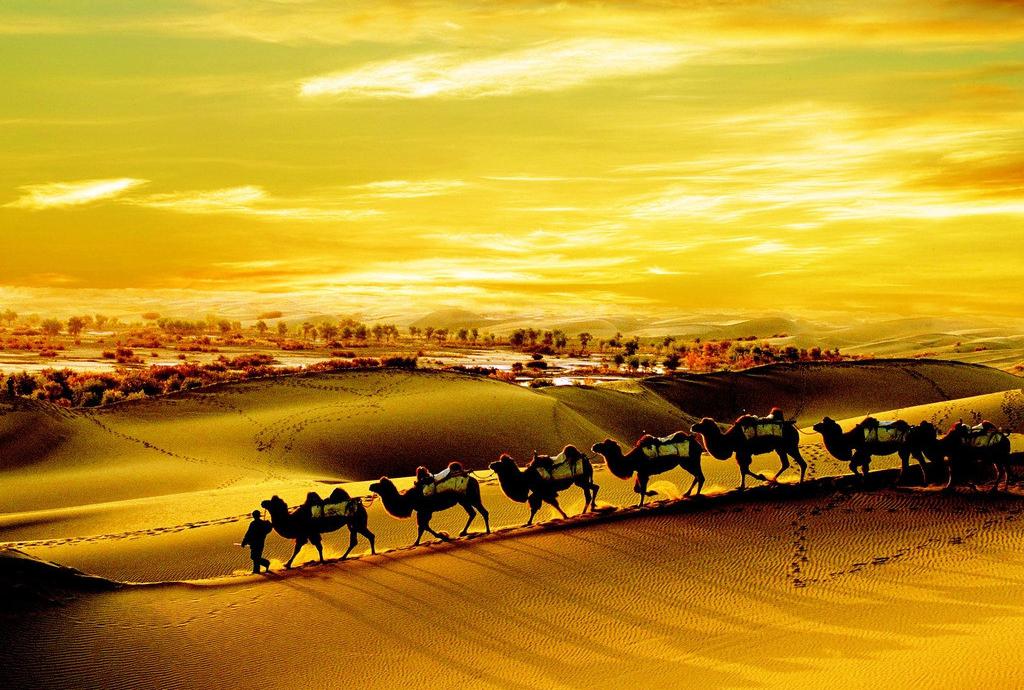 中华文明是世界最卓越的文明,这才是中国五千年文明应有的样子