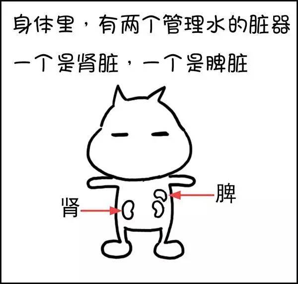 艾灸一段时间反而变胖了是咋回事,为什么喝口水都会胖