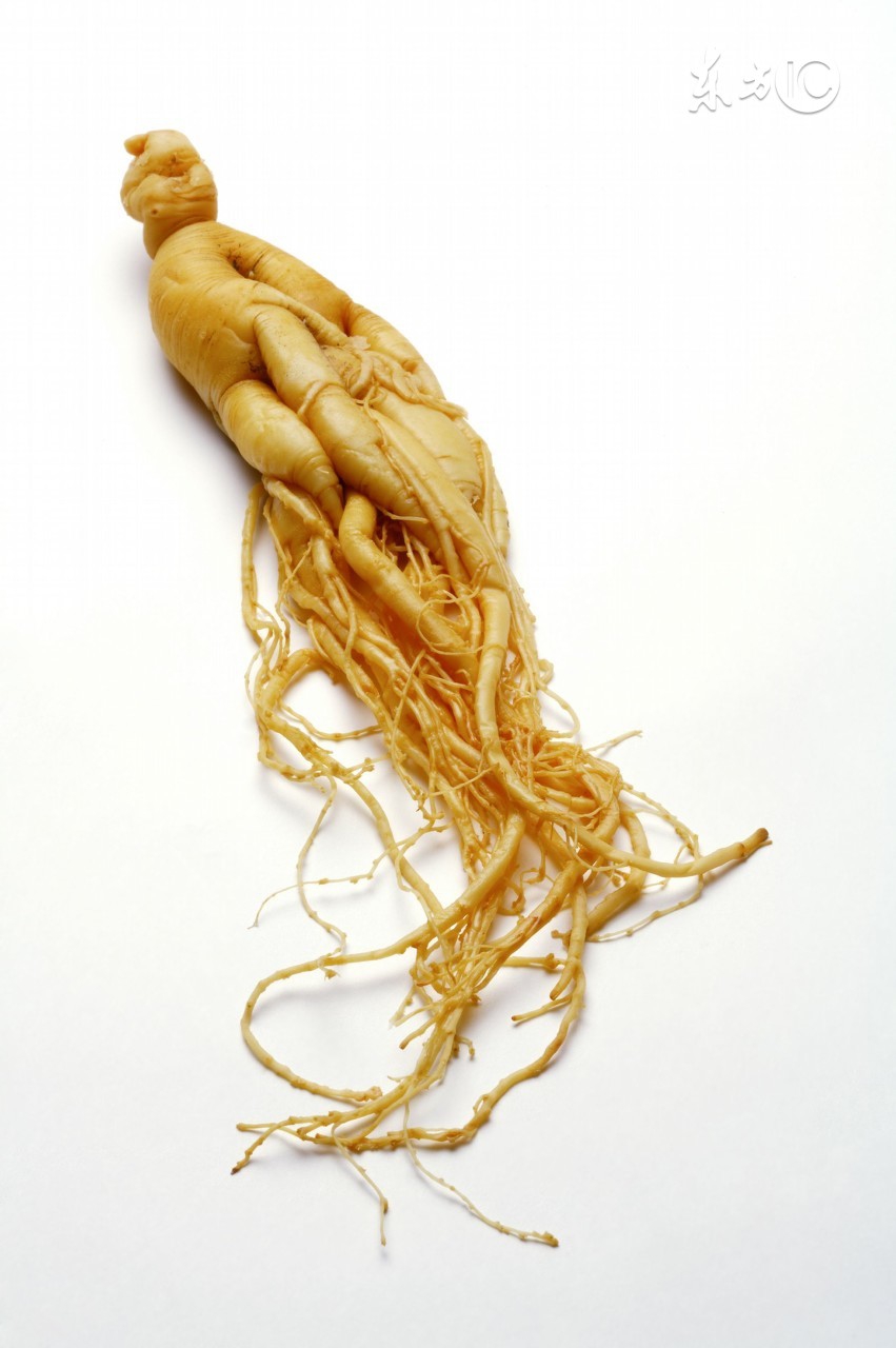 中药诸参指的是,中药中的八大参各叫什么名