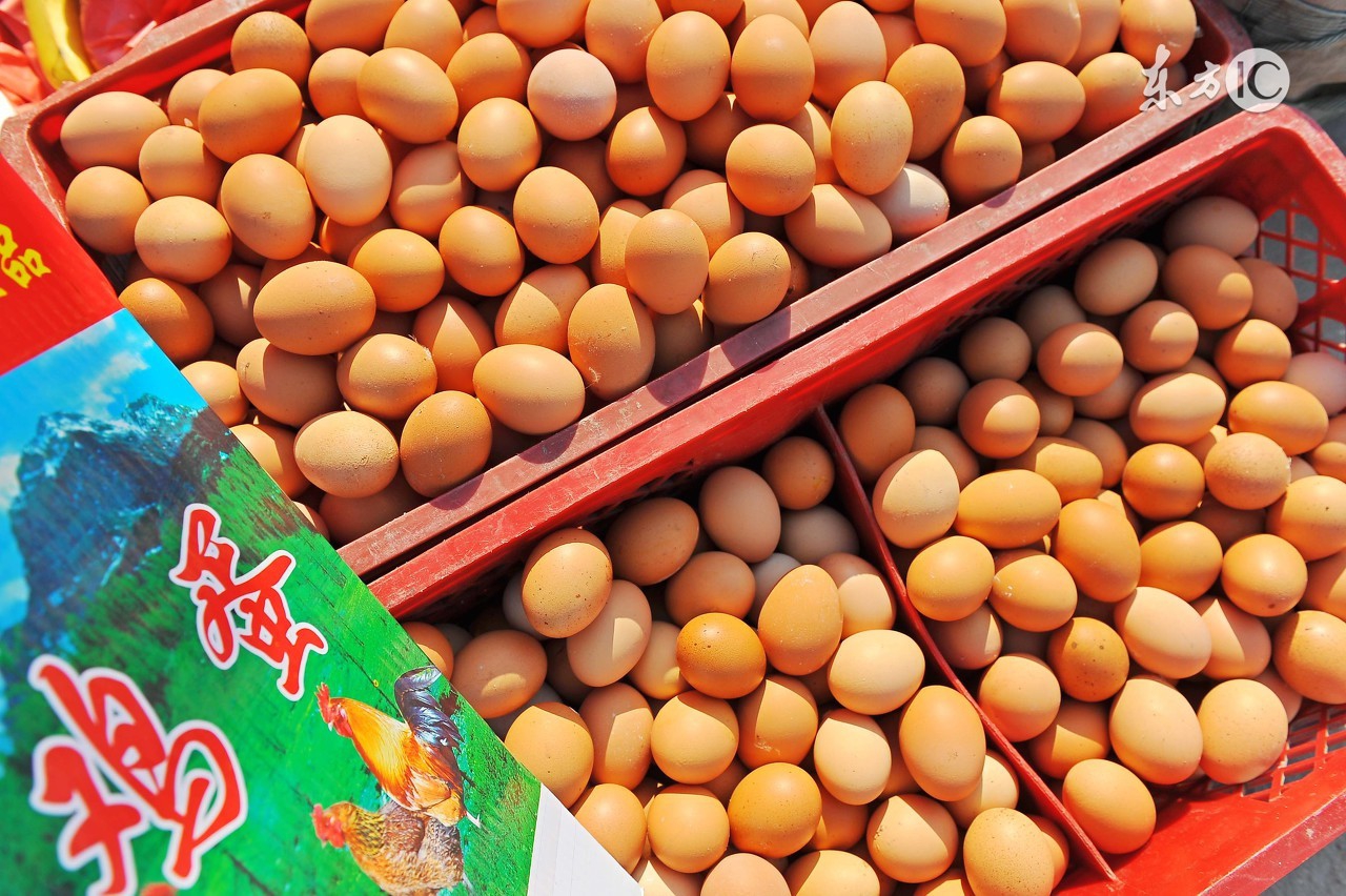 蛋农价格最新行情,蛋价稳中偏弱走货速度放缓