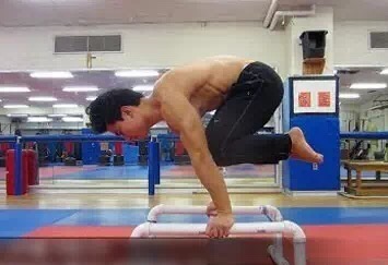 鹤禅式标准体式练习,鹤禅式练习需要强化哪些力量