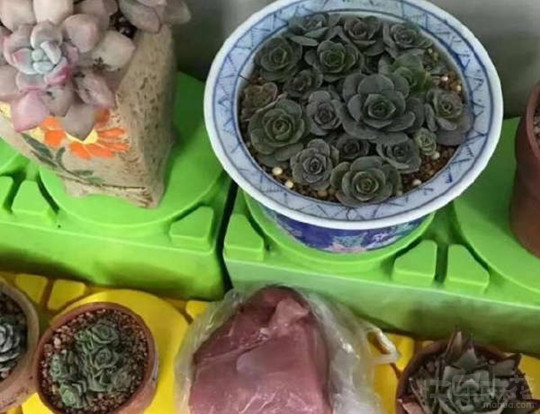 开心一刻：要是你结婚，妈不仅不堵门，不要红包，还会送新郎红包