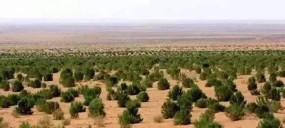 支付宝4大超实用功能你知道几个,支付宝你不知道的功能