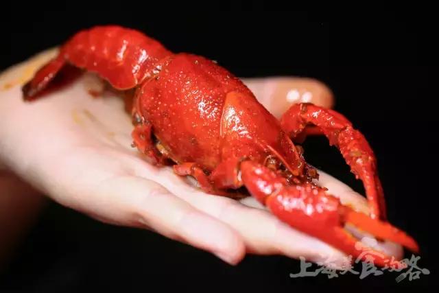 魔都最火的店,魔都超好吃的8家小笼汤包店