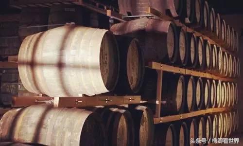 品味生命之美歌曲,生命之水感悟