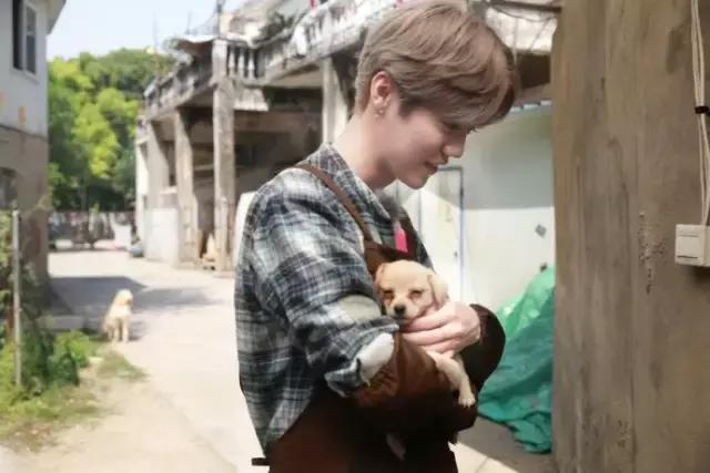 鹿晗约吧大明星,鹿晗关晓彤2017新年心愿