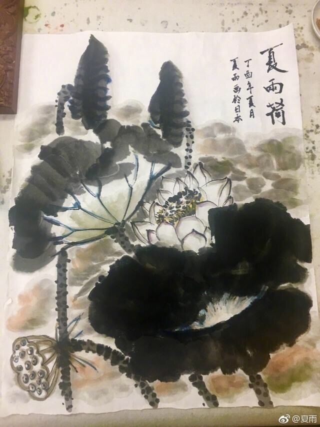 吴奇隆年纪轻轻就拿过跆拳道冠军，而江一燕的摄影兴趣还帮她得过国际大奖？