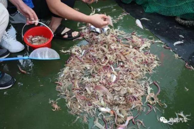 毕业青岛旅游攻略,青岛毕业旅行三日游