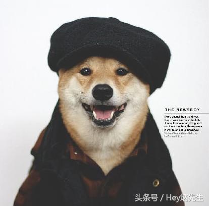 装逼三种境界,十大装逼行为完整版