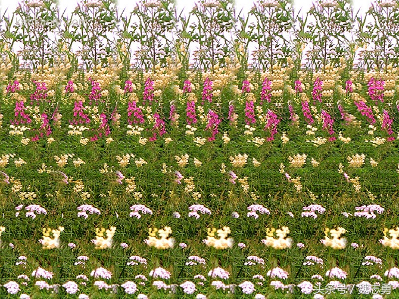 心理减压画画,减压静心的画